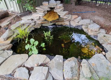 Pond in a bag