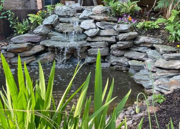 Rockery Pond Stone Project