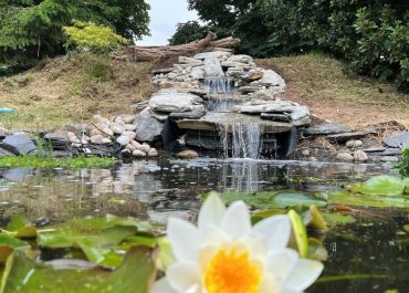 Rockery Pond Stone